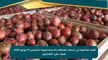 قفزة مفاجئة في أسعار الفاكهة بالإسماعيلية الخميس 31 يوليو 2025.. تعرف على التفاصيل